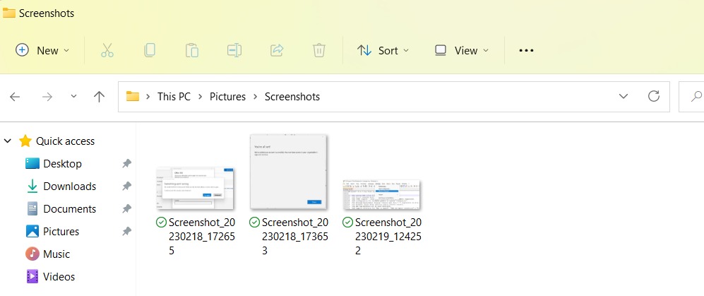 This is where Screenshots are saved on Windows 11